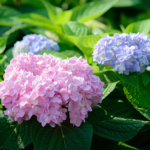 چھوٹی مگر سبق آموز بات