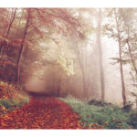 چھوٹی مگر سبق آموز بات