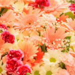 ایک سبق آموزبات