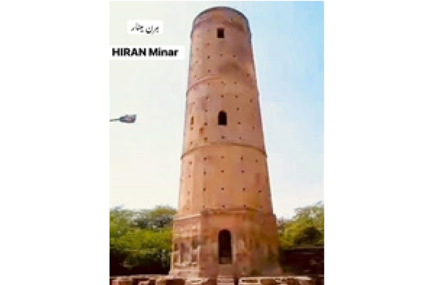 جانور سے محبت کی لازوال داستان